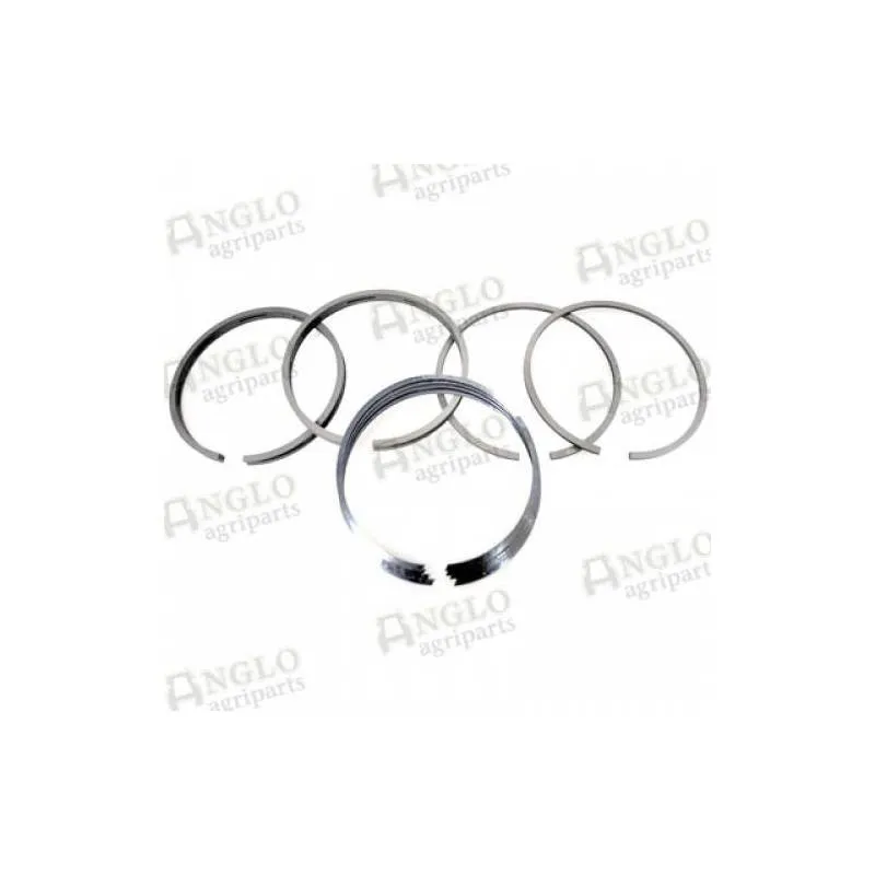 Set Segmenti Massey Ferguson 141158058, 84956,41158058, 745819M91, 745819Z91, 841521M91 Anglo Parts - 1