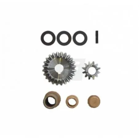 Kit Pinioane Gaspardo 20001921 G22270390R Agricola Ricambi - 1