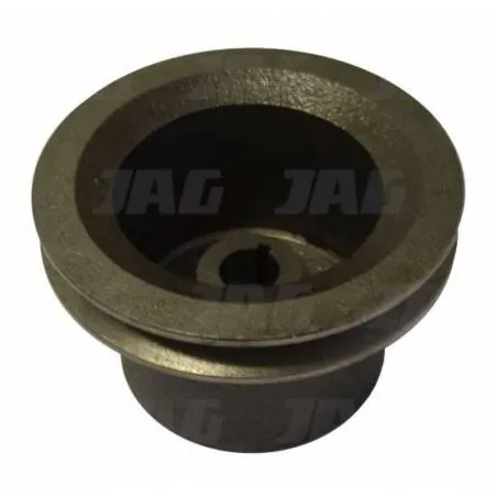 Fulie Pompa Apa Massey Ferguson 31146952