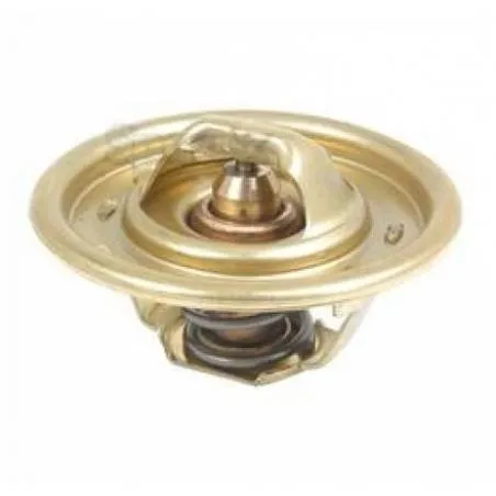 Termostat Massey Ferguson 38857,12485668, 2485639, 2485655, 2485696, 33873,1446222M91