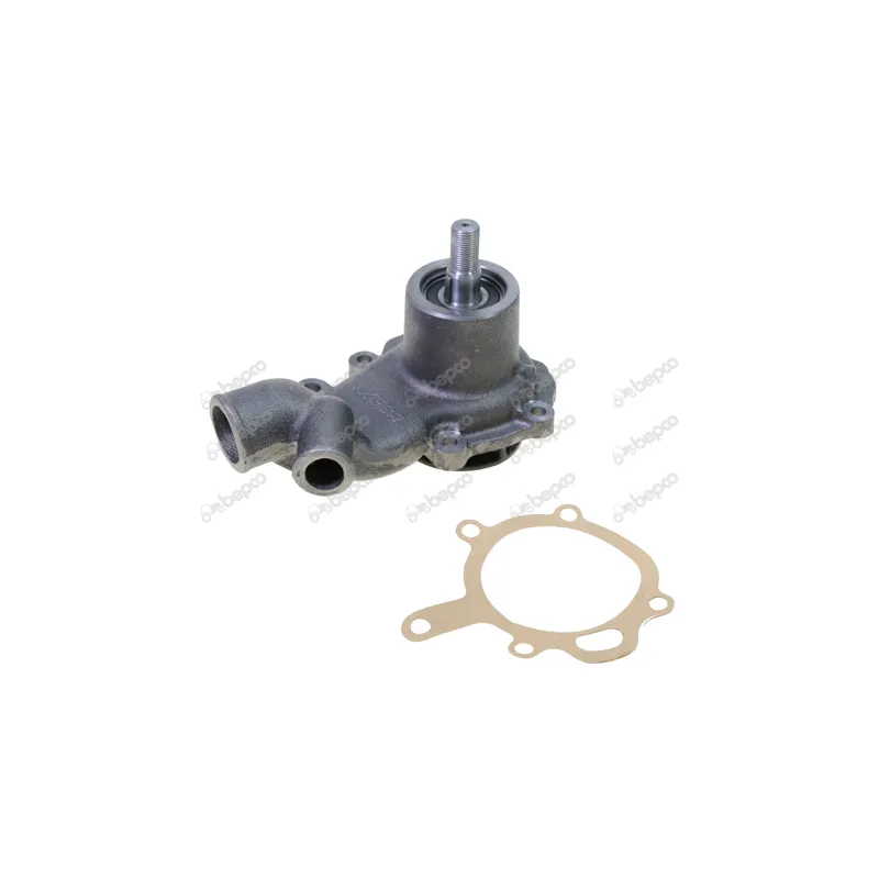 Pompa Apa Perkins, Massey Ferguson 4222071M91 Expert - 1