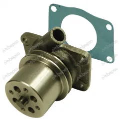 Pompa Apa Case 40012493,101.100.008,B50413,101100008