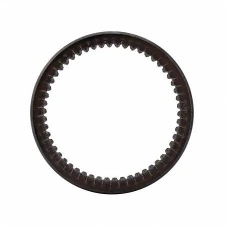 Coroana Diferential Punte Fata Fiat, Ford 5100507 Bepco - 1