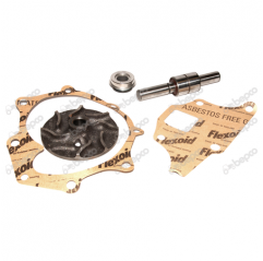 Kit Reparatie Pompa Apa New Holland  S.65024 , 83914015 Sparex - 1
