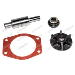 Kit Reparatie Pompa Apa Landini,VPE2011 , 731774M91