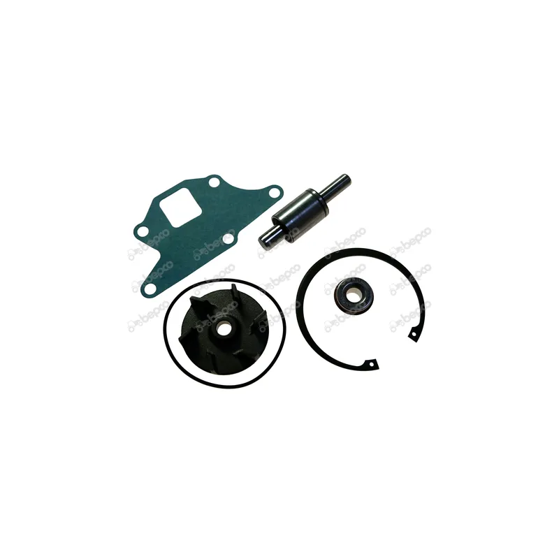 Kit Reparatie Pompa Apa New Holland 131-92 81866488, FBPN8591A Bepco - 1