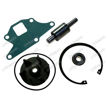 Kit Reparatie Pompa Apa New Holland 131-92 81866488, FBPN8591A Bepco - 1