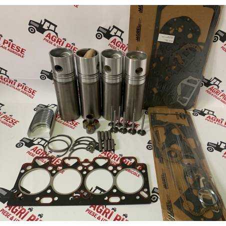 Set Motor Perkins A4.248 3638580M91, 3638580Z91, U5MK0287 Morel - 1