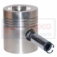 Piston Motor Perkins  33-8 4224523M91 THM - 1