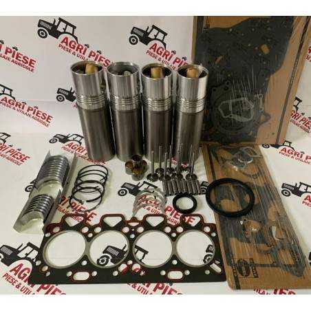 Set Motor Perkins Ø 98.48 mm, A4.354, U5MK1173 Morel - 1