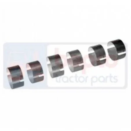 SET CUZINETI BIELA CASE 15010087  3055781R11X6, 15010087,15010087C, Anglo Parts - 1