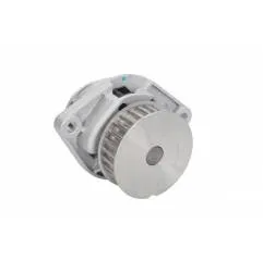 Pompa apa Audi, VW D1W019TT, 036121005B