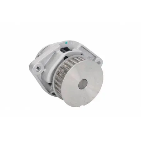 Pompa apa Audi, VW D1W019TT, 036121005B