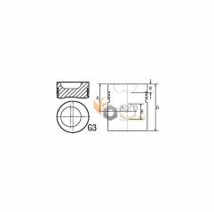 Piston motor massey fergoson 30/33-9,  86721, 738249M91,A65016 Mega - 1
