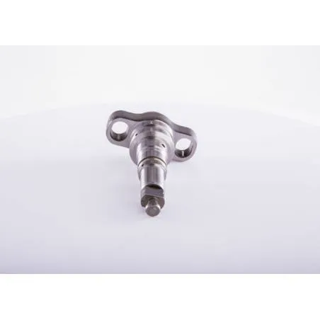 Element pompa injectie Scania 2418455165, 112181