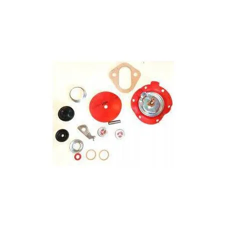 Kit Reparatie Pompa Alimentare Ford 101-16, 693F9K340AA, 81458909 Bepco - 1