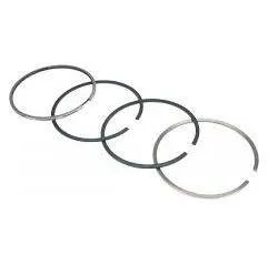 Set segmenti motor Fendt Fi 100 MM F281202310021,F281202310040, F28120231005 Bepco - 3