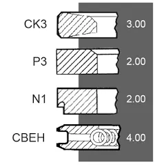 Set segmenti motor Fendt Fi 100 MM , F281202310040, F281202310050 Bepco - 3