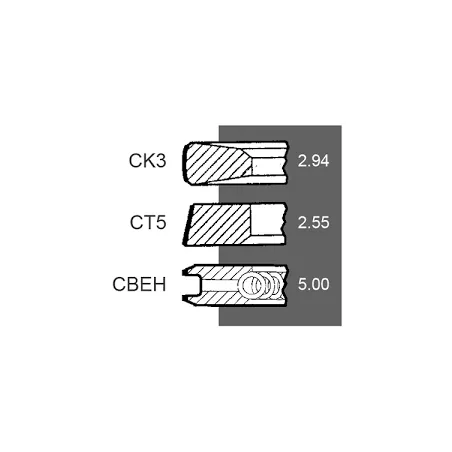 Set segmenti motor Deutz 2233117, 2239262, 4156566