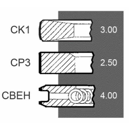 Set segmenti motor Same Fi 105 MM 033800526,33800526,71268620