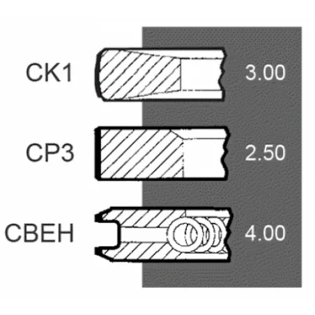 Set segmenti motor Same Fi 105 MM 033800526,33800526,71268620