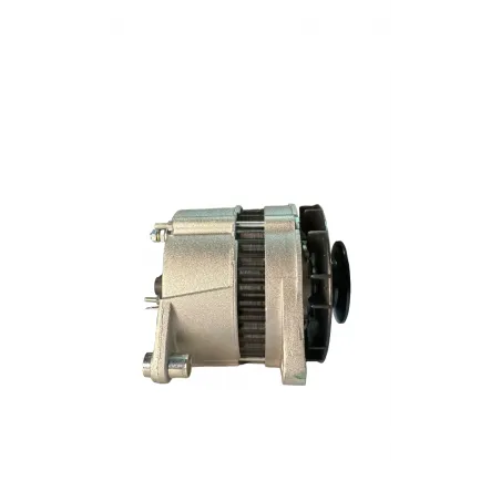 Alternator Fiat 14V-65A