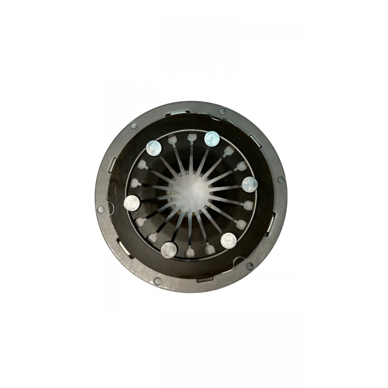Placa Ambreiaj Pasqualin fi 160mm CE15627, 5801562737 Cermag - 1