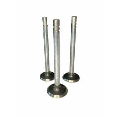 Set Supape Evacuare, VPA1360, R79624 Vapormatic - 1