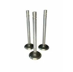 Set Supape Evacuare, VPA1360, R79624 Vapormatic - 1