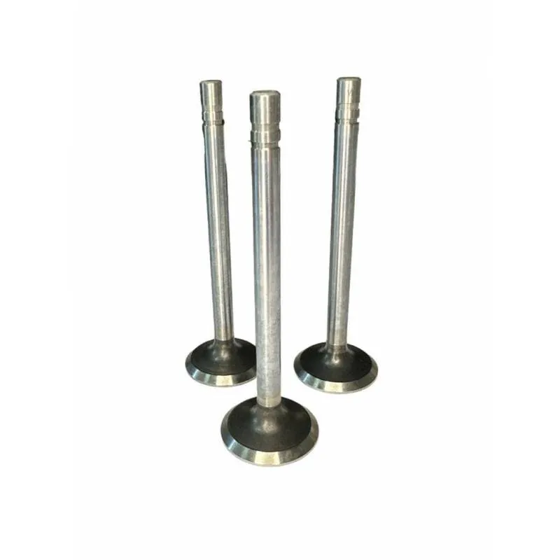 Set Supape Evacuare, VPA1360, R79624 Vapormatic - 1