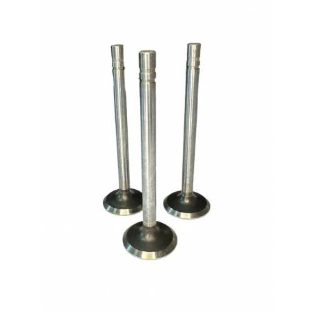 Set Supape Evacuare, VPA1360, R79624 Vapormatic - 1