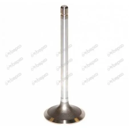 Supapa Chiulasa Admisie Fiat, 42-254, 04824417, 153634221, 20198889 Bepco - 1