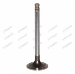 Supapa Evacuare Massey Ferguson, 30/43-61, 4222147M91, 20202868 Bepco - 1