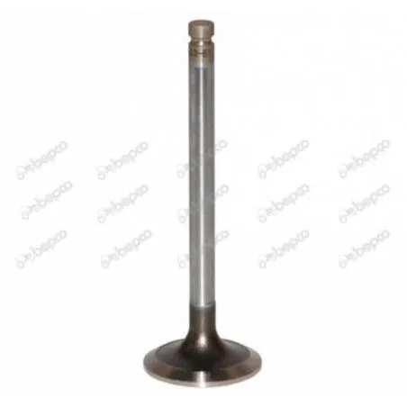 Supapa Evacuare Massey Ferguson, 30/43-61, 4222147M91, 20202868 Bepco - 1