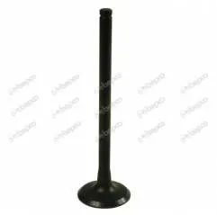 Supapa Admisie Same, B59836, 50775929, 005214200 Bepco - 1