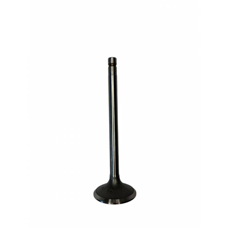 Supapa Chiulasa, 42-12B, 81842752, C5NE6507C Bepco - 2