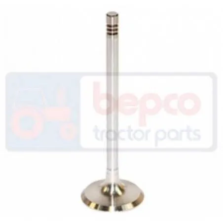 Supapa Admisie, 21/42-50, 42-50, 04159136