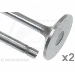 Supapa Admisie Motor, VPA7000, R84618x2, R84618 Vapormatic - 1
