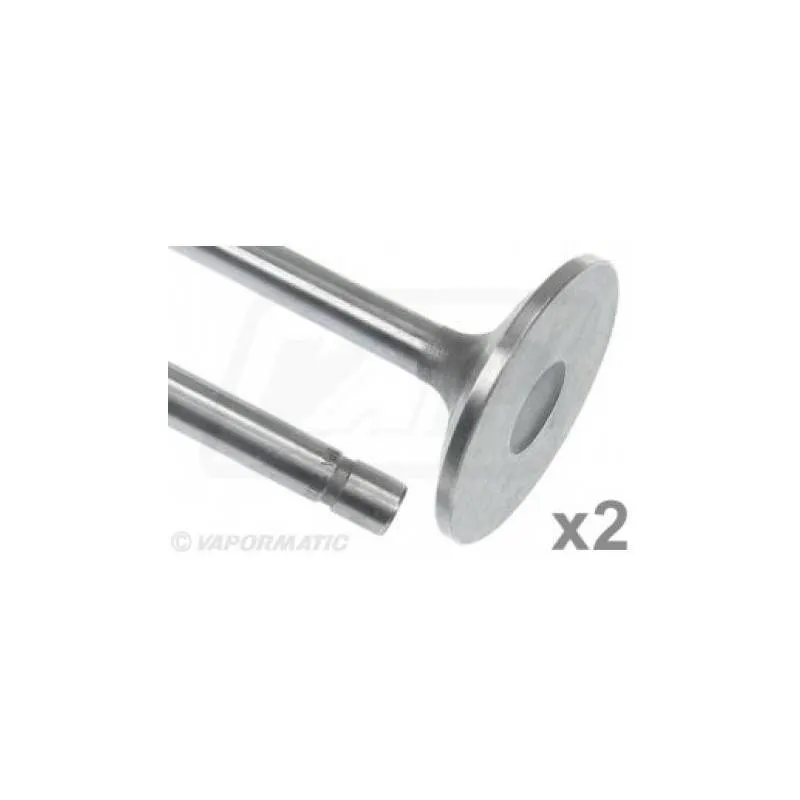 Supapa Admisie Motor, VPA7000, R84618x2, R84618 Vapormatic - 1