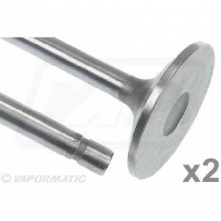 Supapa Admisie Motor, VPA7000, R84618x2, R84618 Vapormatic - 1