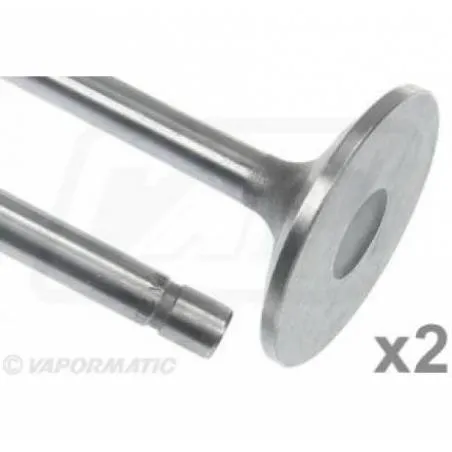 Supapa Admisie Motor, VPA7000, R84618x2, R84618 Vapormatic - 1