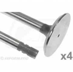 Supapa Admisie Motor, VPA1350, R79623x4, R79623 Vapormatic - 1
