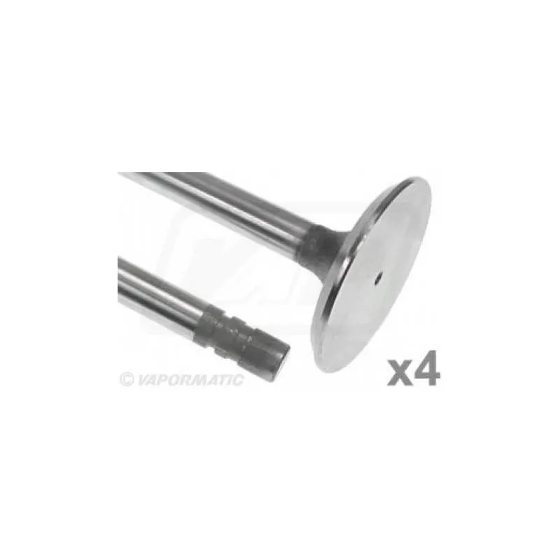 Supapa Admisie Motor, VPA1350, R79623x4, R79623 Vapormatic - 1