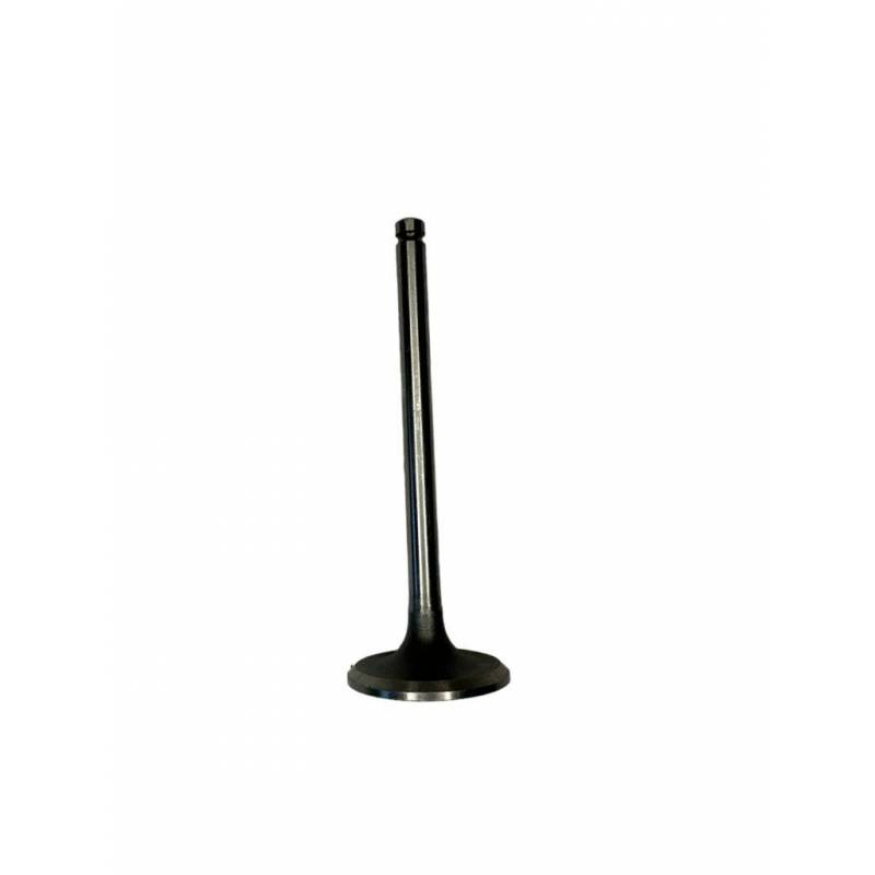 Supapa Admisie Perkins, M006-02820, 31018, 59581 Morel - 1