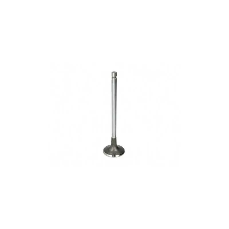 Supapa Admisie Perkins, 3142H042, M006-02240, 4222579M, 30/42-60 Morel - 1