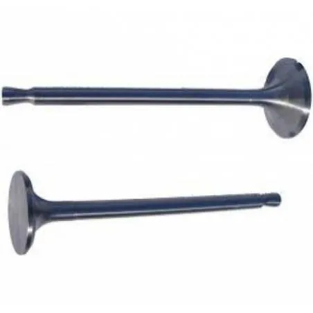 Supapa Fiat, 920900, 7576138 Mc Diesel - 1