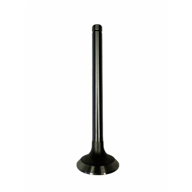 Supapa Evacuare Gaze Motor Perkins, 3118132R1, 3142A052, 31431881, 717664, 741466M1, 747552M1, 7701031589 Morel - 1
