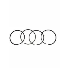 Set segmenti motor Case-IH Fi 101.80 MM J802746, 3802050,3802230 Mega - 1