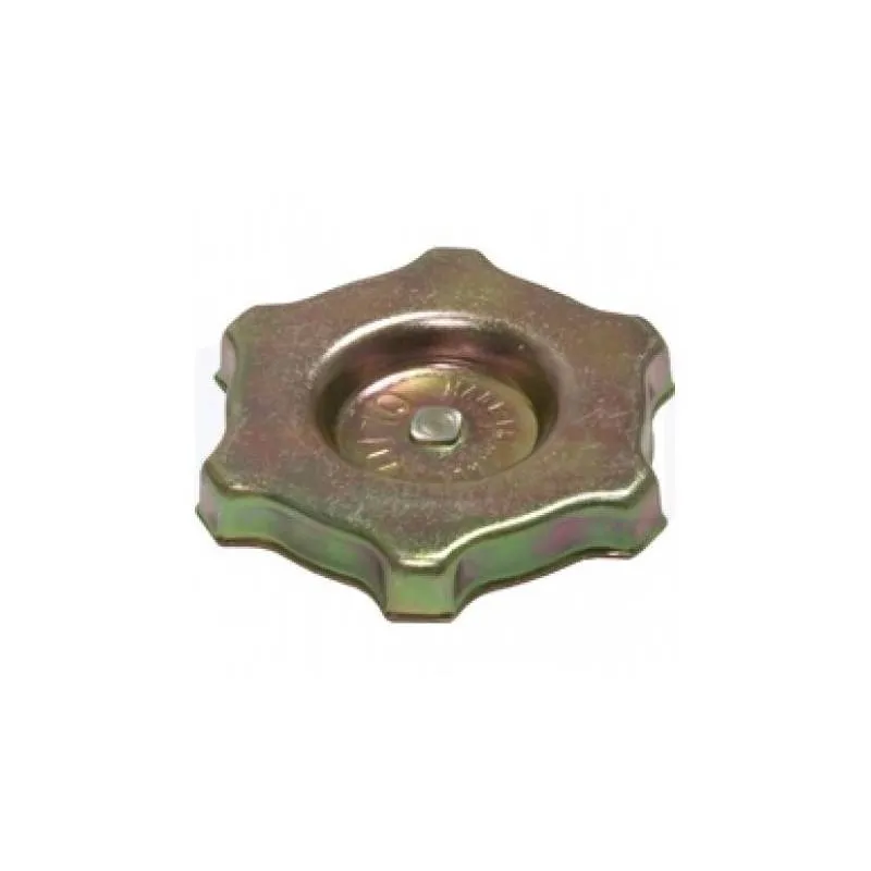 Buson ulei motor Fiat 98418980, 04232606, 576001 Anglo Parts - 1