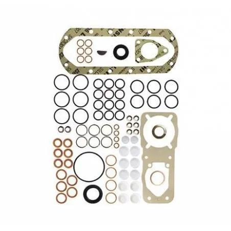 Kit Reparatie Pompa Injectie 2417010001, 1308047, 7905076  - 1